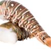 Cauda de lagosta P 10-12 (1 kg)